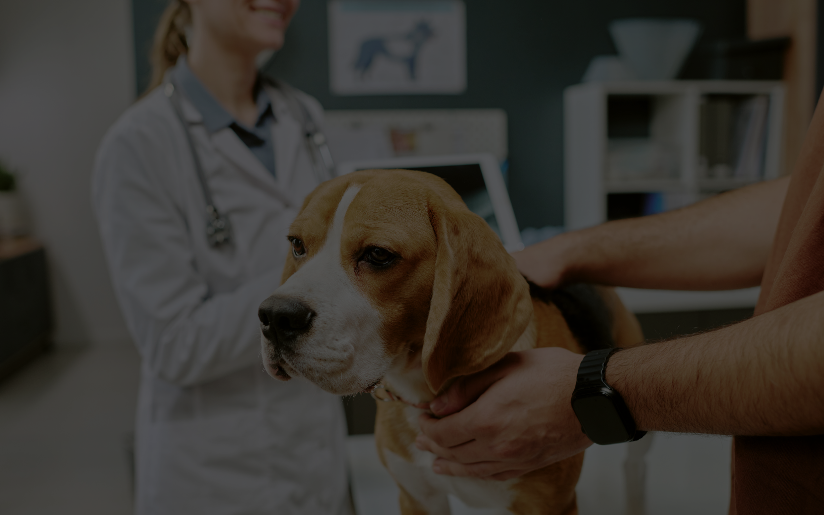 Línea Especializada